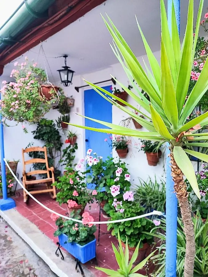Apartamento Alcazar San Basilio Cordoba